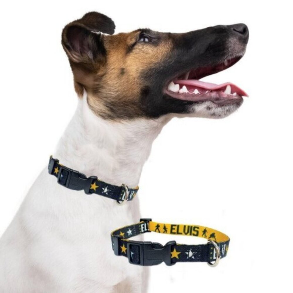 5/$20 NEW Elvis Adjustable Dog Collar LARGE 15”-23.5”(56-70Lbs)